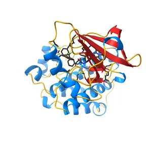 Src kinase in complex with a sulfonamide inhibitor
