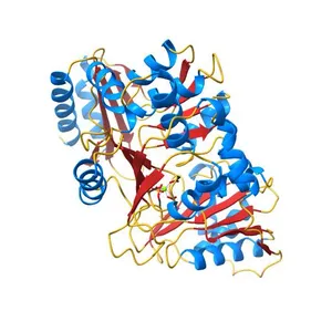 Crystal Structure of APO form of Phosphoglucomutase from Xanthomonas citri