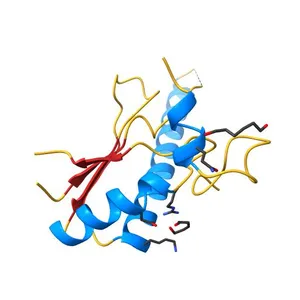 X-ray Structure of a Core U2AF65/U2AF35 Heterodimer