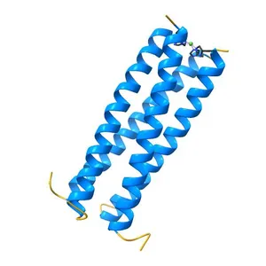 The KCNQ1 (Kv7.1) C-terminus, a multi-tiered scaffold for subunit assembly and protein interaction