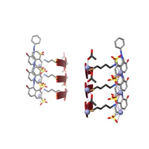 Structure of an amyloid forming peptide VQIVYK from the TAU protein in complex with orange G