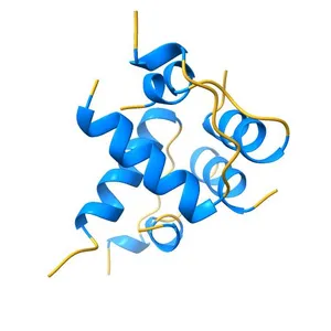 X-RAY STRUCTURE OF HUMAN RELAXIN AT 1.5 ANGSTROMS. COMPARISON TO INSULIN AND IMPLICATIONS FOR RECEPTOR BINDING DETERMINANTS