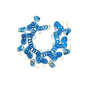 Crystal Structure of the Bacteriophage T4 recombination mediator protein UvsY, Lattice Type I