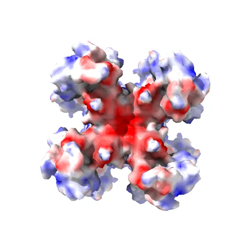 Shaker family voltage dependent potassium channel (kv1.2-kv2.1 paddle chimera channel) in association with beta subunit — Фото 10 из 13