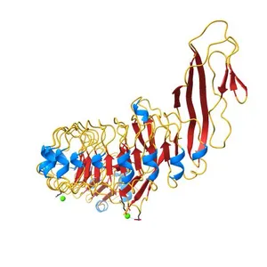 Crystal structure of InlA S192N Y369S/hEC1 complex