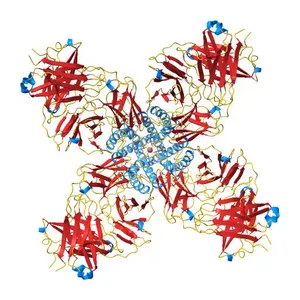 potassium channel KcsA-Fab complex in high concentration of Tl+