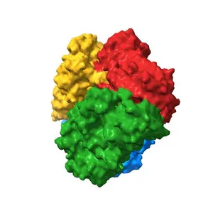 E. COLI (lacZ) BETA-GALACTOSIDASE (E537Q) IN COMPLEX WITH ALLOLACTOSE