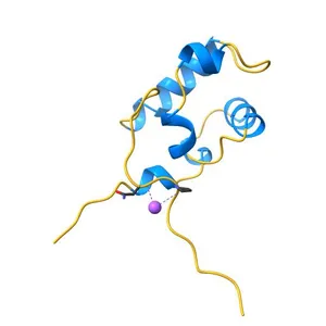Crystal structure of E. coli RNA polymerase alpha subunit C-terminal domain