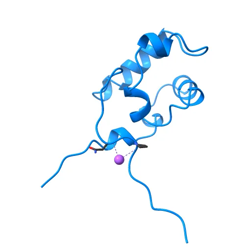 Crystal structure of E. coli RNA polymerase alpha subunit C-terminal domain — Фото 3 из 13