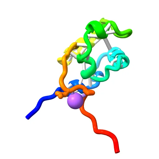 Crystal structure of E. coli RNA polymerase alpha subunit C-terminal domain — Фото 4 из 13