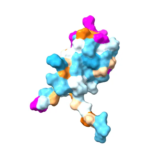 Crystal structure of E. coli RNA polymerase alpha subunit C-terminal domain — Фото 5 из 13