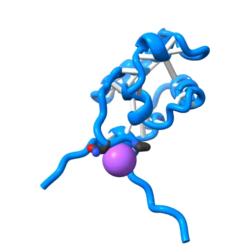 Crystal structure of E. coli RNA polymerase alpha subunit C-terminal domain — Фото 6 из 13