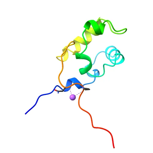 Crystal structure of E. coli RNA polymerase alpha subunit C-terminal domain — Фото 7 из 13