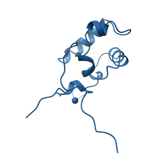 Crystal structure of E. coli RNA polymerase alpha subunit C-terminal domain — Фото 8 из 13