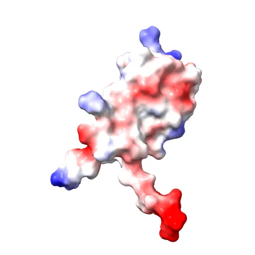 Crystal structure of E. coli RNA polymerase alpha subunit C-terminal domain — Фото 9 из 13