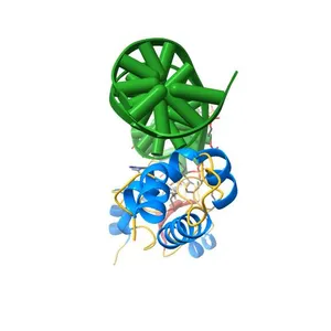 Crystal structure of the methylated N-ADA/DNA complex