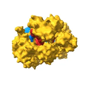 Crystal structure of SpCas9 variant VRER bound to sgRNA and TGCG PAM target DNA