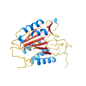 Crystal structure of caspase-7 DEVE peptide complex