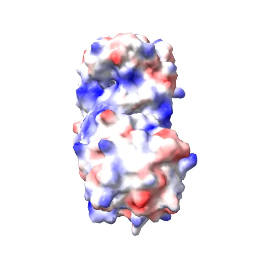 CRYSTAL STRUCTURE OF RECOMBINANT HUMAN TRIOSEPHOSPHATE ISOMERASE AT 2.8 ANGSTROMS RESOLUTION. TRIOSEPHOSPHATE ISOMERASE RELATED HUMAN GENETIC DISORDERS AND COMPARISON WITH THE TRYPANOSOMAL ENZYME — Фото 13 из 13