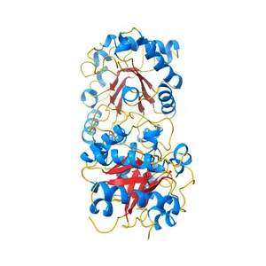 CRYSTAL STRUCTURE OF RECOMBINANT HUMAN TRIOSEPHOSPHATE ISOMERASE AT 2.8 ANGSTROMS RESOLUTION. TRIOSEPHOSPHATE ISOMERASE RELATED HUMAN GENETIC DISORDERS AND COMPARISON WITH THE TRYPANOSOMAL ENZYME