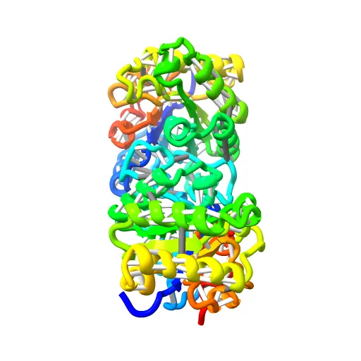 CRYSTAL STRUCTURE OF RECOMBINANT HUMAN TRIOSEPHOSPHATE ISOMERASE AT 2.8 ANGSTROMS RESOLUTION. TRIOSEPHOSPHATE ISOMERASE RELATED HUMAN GENETIC DISORDERS AND COMPARISON WITH THE TRYPANOSOMAL ENZYME — Фото 5 из 13