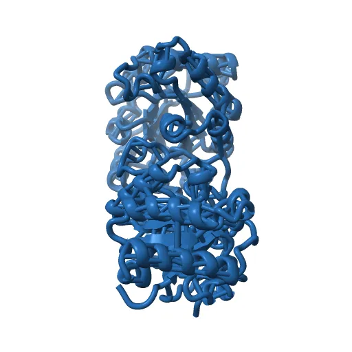 CRYSTAL STRUCTURE OF RECOMBINANT HUMAN TRIOSEPHOSPHATE ISOMERASE AT 2.8 ANGSTROMS RESOLUTION. TRIOSEPHOSPHATE ISOMERASE RELATED HUMAN GENETIC DISORDERS AND COMPARISON WITH THE TRYPANOSOMAL ENZYME — Фото 6 из 13