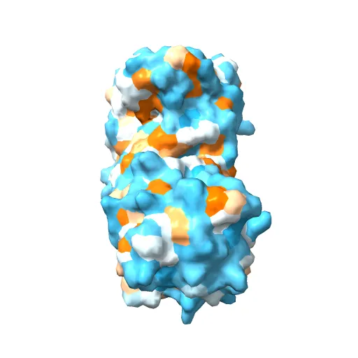 CRYSTAL STRUCTURE OF RECOMBINANT HUMAN TRIOSEPHOSPHATE ISOMERASE AT 2.8 ANGSTROMS RESOLUTION. TRIOSEPHOSPHATE ISOMERASE RELATED HUMAN GENETIC DISORDERS AND COMPARISON WITH THE TRYPANOSOMAL ENZYME — Фото 7 из 13