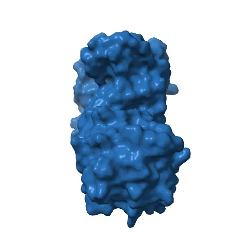 CRYSTAL STRUCTURE OF RECOMBINANT HUMAN TRIOSEPHOSPHATE ISOMERASE AT 2.8 ANGSTROMS RESOLUTION. TRIOSEPHOSPHATE ISOMERASE RELATED HUMAN GENETIC DISORDERS AND COMPARISON WITH THE TRYPANOSOMAL ENZYME — Фото 8 из 13