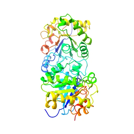 CRYSTAL STRUCTURE OF RECOMBINANT HUMAN TRIOSEPHOSPHATE ISOMERASE AT 2.8 ANGSTROMS RESOLUTION. TRIOSEPHOSPHATE ISOMERASE RELATED HUMAN GENETIC DISORDERS AND COMPARISON WITH THE TRYPANOSOMAL ENZYME — Фото 12 из 13
