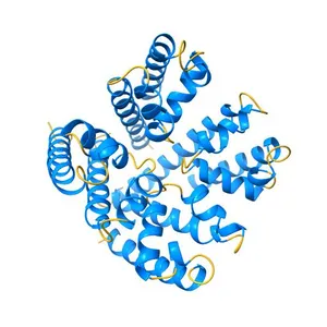 Open Channel Conformation of a Voltage Gated Sodium Channel