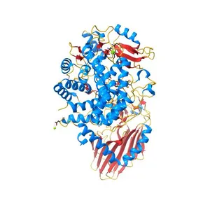 Crystal structure of the glycosynthase mutant E727A of Escherichia coli GH63 glycosidase in complex with glucose and lactose
