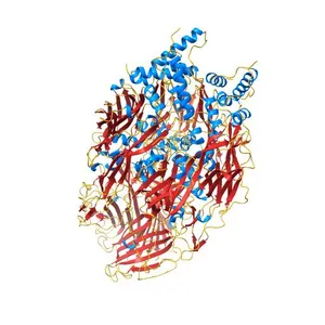 Faustovirus major capsid protein