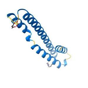 human tubulin chaperone cofactor a