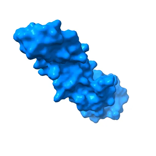 human tubulin chaperone cofactor a — Image 2 of 13