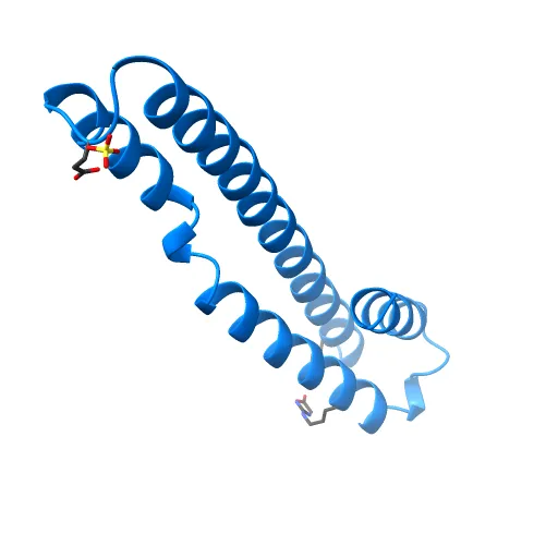 human tubulin chaperone cofactor a — Image 3 of 13