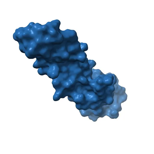human tubulin chaperone cofactor a — Image 4 of 13