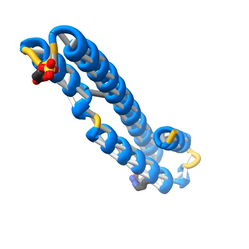 human tubulin chaperone cofactor a — Image 5 of 13