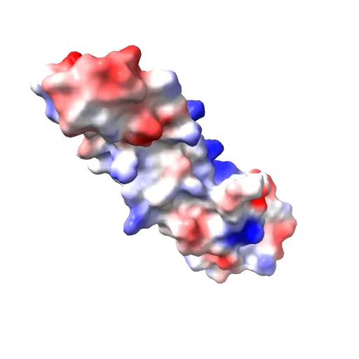 human tubulin chaperone cofactor a — Image 9 of 13