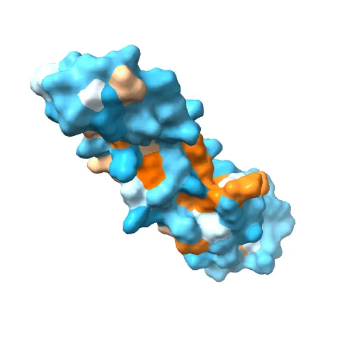 human tubulin chaperone cofactor a — Image 10 of 13