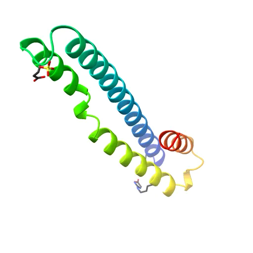 human tubulin chaperone cofactor a — Image 12 of 13