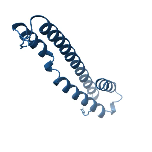human tubulin chaperone cofactor a — Image 13 of 13