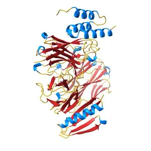 Meditope-enabled trastuzumab