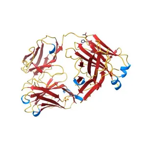 Structure of Pertuzumab Fab with light chain Clambda at 2.16A