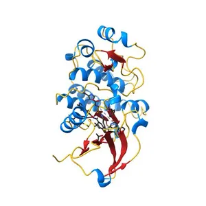 Human ABL kinase in complex with nilotinib
