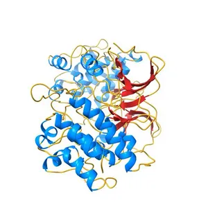 Crystal structure of Bruton's tyrosine kinase domain