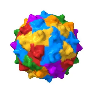 Crystal Structure of Israel acute Paralysis Virus