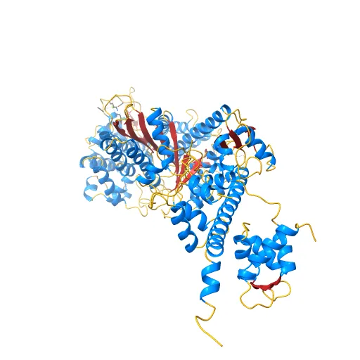 Crystal Structure of nucleotide-free Myosin 1b residues 1-728 with bound Calmodulin — Фото 8 из 13