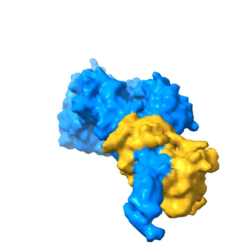 Crystal Structure of nucleotide-free Myosin 1b residues 1-728 with bound Calmodulin — Фото 9 из 13