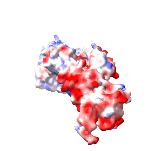 Crystal Structure of nucleotide-free Myosin 1b residues 1-728 with bound Calmodulin — Фото 10 из 13
