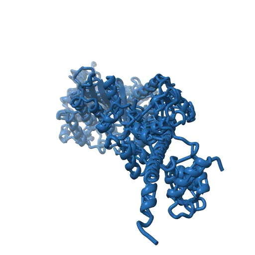 Crystal Structure of nucleotide-free Myosin 1b residues 1-728 with bound Calmodulin — Фото 11 из 13